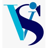 VSI Infotech LLP logo - Similar company to Appifly Infotech