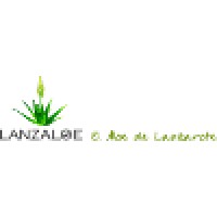 Lanzaloe S.L logo - Similar company to Droning You Sl