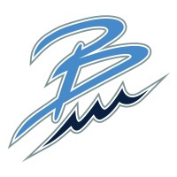 Blue Wave Digital, LLC logo - Similar company to Blue Brave Digital