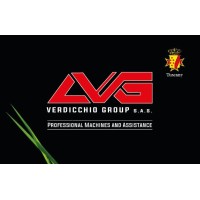 VERDICCHIO GROUP s.a.s logo - Similar company to Vultech Security