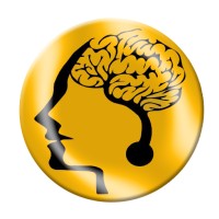 Neuromind Leadership Academy logo - Similar company to Neuronotion