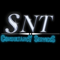 SNT Consultancy Services logo - Similar company to Snt