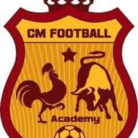 CMF Academy logo - Similar company to Fc Marylebone