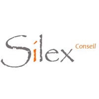 Silex Conseil logo - Similar company to Silex Consulting