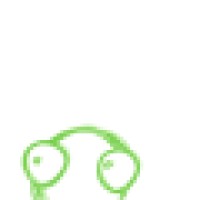 Two Turtles