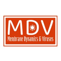 Membrane Dynamics & Viruses logo - Similar company to Borna Membrane Solutions