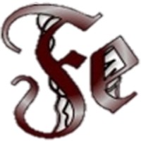 Ferrum Networks Sdn Bhd logo - Similar company to Ewashi