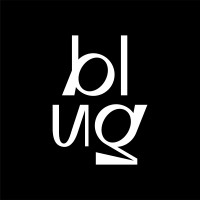 BLUG GROUP logo - Similar company to Studio 213