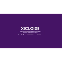 XICLOIDE logo - Similar company to Emarkettools