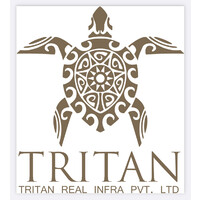 TRITAN REALINFRA PRIVATE LIMITED logo - Similar company to Tritan Ev Dock Private Limited