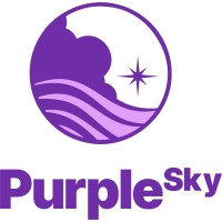 Purple Sky logo - Similar company to Virtuemind Solutions Llc