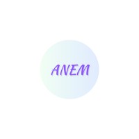 Anem Grup