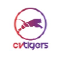 CV Tigers Limited logo - Similar company to Genzed Bookkeeping