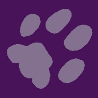 Furever Bookkeeping, Accounting & CFO Services logo - Similar company to Ethicspro Tax | Planning & Strategy