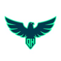 Digital Hawks logo - Similar company to Oxil Solutions