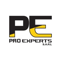 PRO EXPERTS LEBANON logo - Similar company to Dabboussi Group