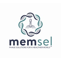Memsel logo - Similar company to Icore Solutions Jsc