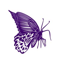 The Butterfly Therapist logo - Similar company to Sovereign Home Improvement Group