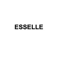 ESSELLE AGENCY logo - Similar company to Studio 52Nd