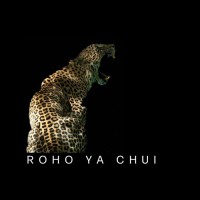 Roho Ya Chui logo - Similar company to Uyaphi.Com
