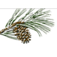 Timber Ridge School logo - Similar company to Wr Builders Inc