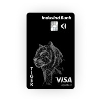 Tiger FinTech logo - Similar company to Mednerva
