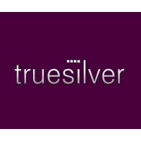 Truesilver WEB/SOCIAL/MARKETING logo - Similar company to Jamcrackers Uk