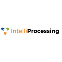 Intelliprocessing logo - Similar company to Blueline Services, Llc