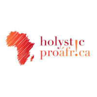 Holystic ProÁfrica logo - Similar company to Skyview Spain