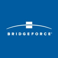 Bridgeforce logo - Similar company to Palinode