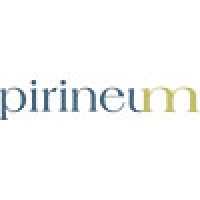 Pirineum logo - Similar company to Nube Interactiva