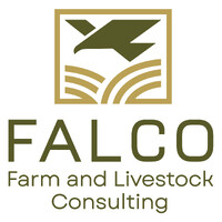 Falco Srl