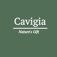 Cavigia logo - Similar company to Zobrius Pharma Asa