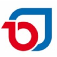 DIES Consultor