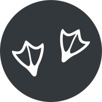 Daleken AB logo - Similar company to Plug Software