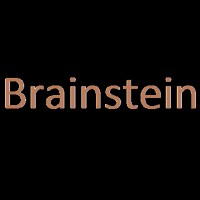 Brainstein Capital Management LLP logo - Similar company to Groundwork Intel