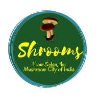 Shrooms logo - Similar company to Magic Mushrooms Delivery