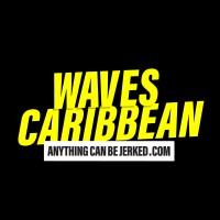 Waves Caribbean logo - Similar company to Collaborative Vision Llc