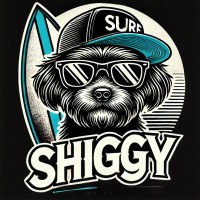 Shiggy Clothing logo - Similar company to Core Desktop