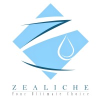 Zealiche Water Technologies logo - Similar company to Apex Water Solutions