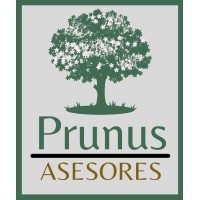 Prunus Asesores SpA logo - Similar company to Cedea-Flacso