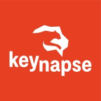 Keynapse logo - Similar company to Box24X7