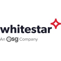 Whitestar, an ESG Company logo - Similar company to Utiligroup (Esg)