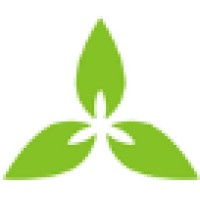 TBF Technology Pvt Ltd logo - Similar company to Pivotsys Limited