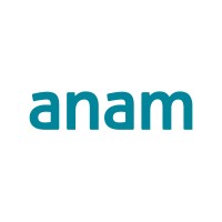 Anam Technologies Ltd