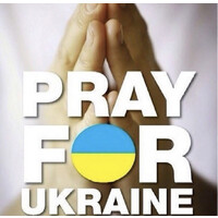 Support - Ukraine logo - Similar company to Shortageua - Support Ukraine Now