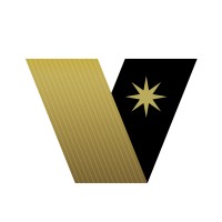VeriStell Institute logo - Similar company to Bst Impact