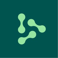 Thinq - Bi Consulting