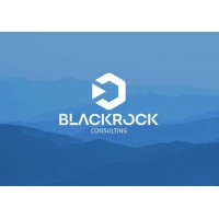 BlackRock Consulting logo - Similar company to Black Box Consulting, Inc.
