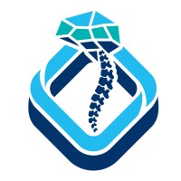 NeuroZone3D logo - Similar company to Walter E. Dandy Neurosurgical Student Club Peru